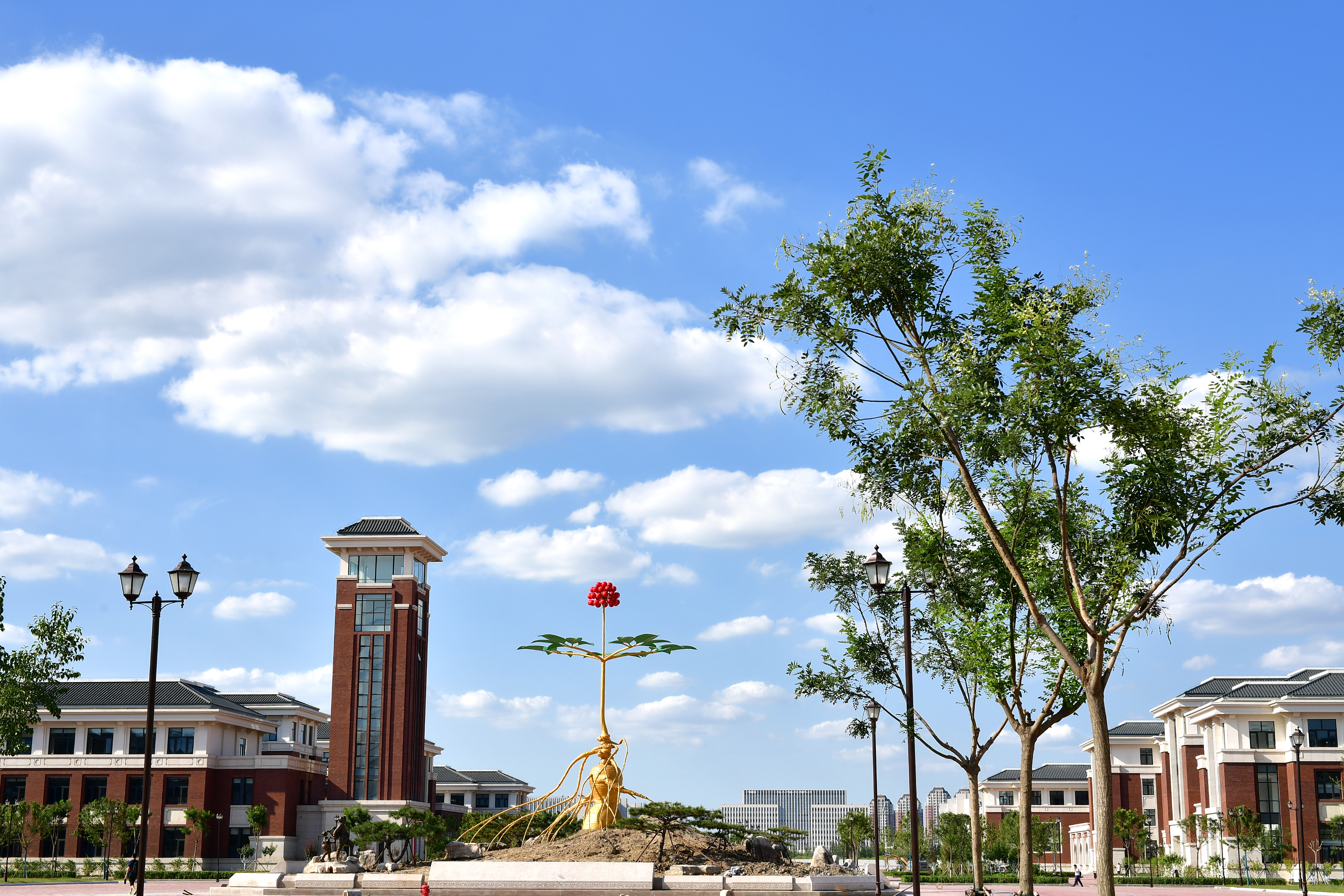 学校概况-天津中医药大学