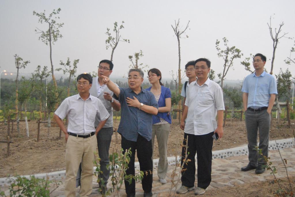张伯礼校长视察新校区中药植物园建设工程-天中新闻网
