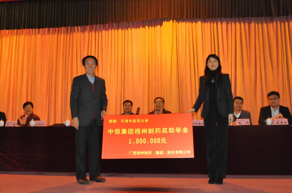 中恒融创投资 集团_中恒融创投资集团_中恒集团2016业务重组