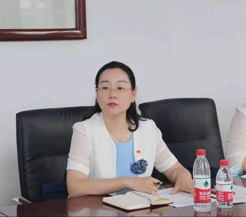 党委学工部部长张岚解读支教工作实施方案会议现场